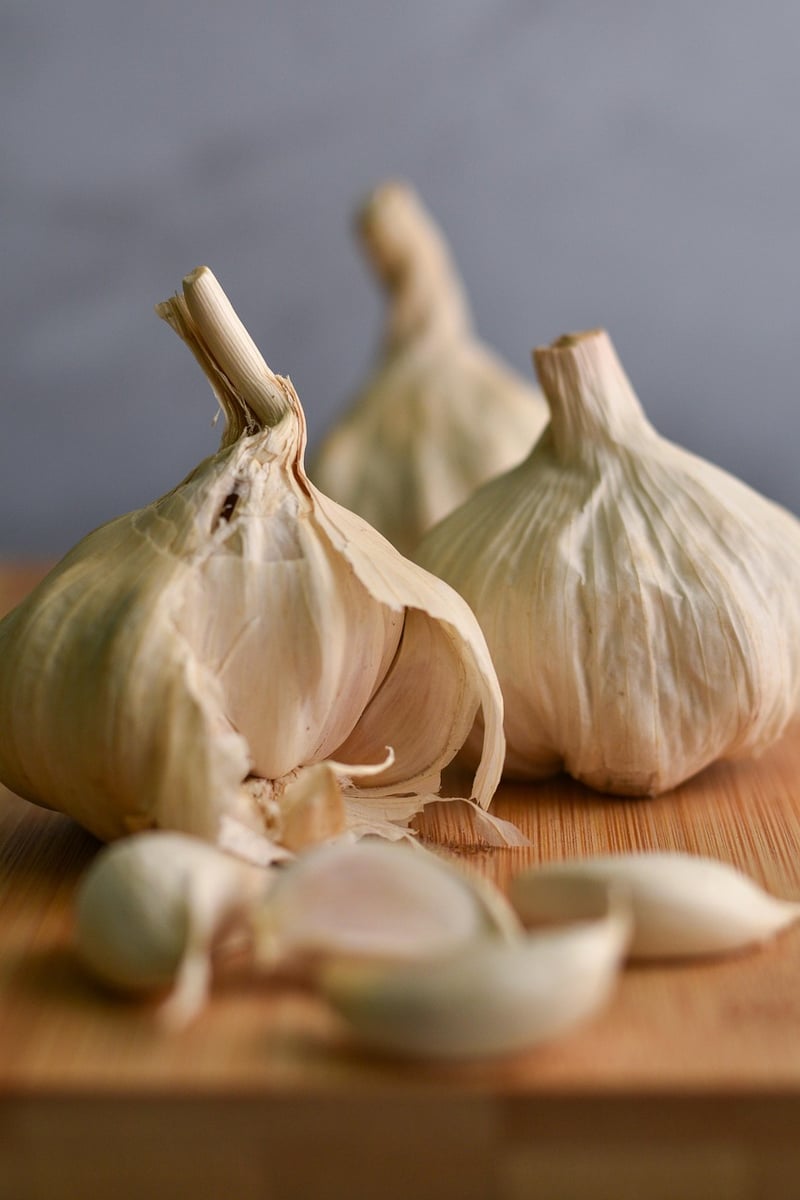 Experimental Ingredients